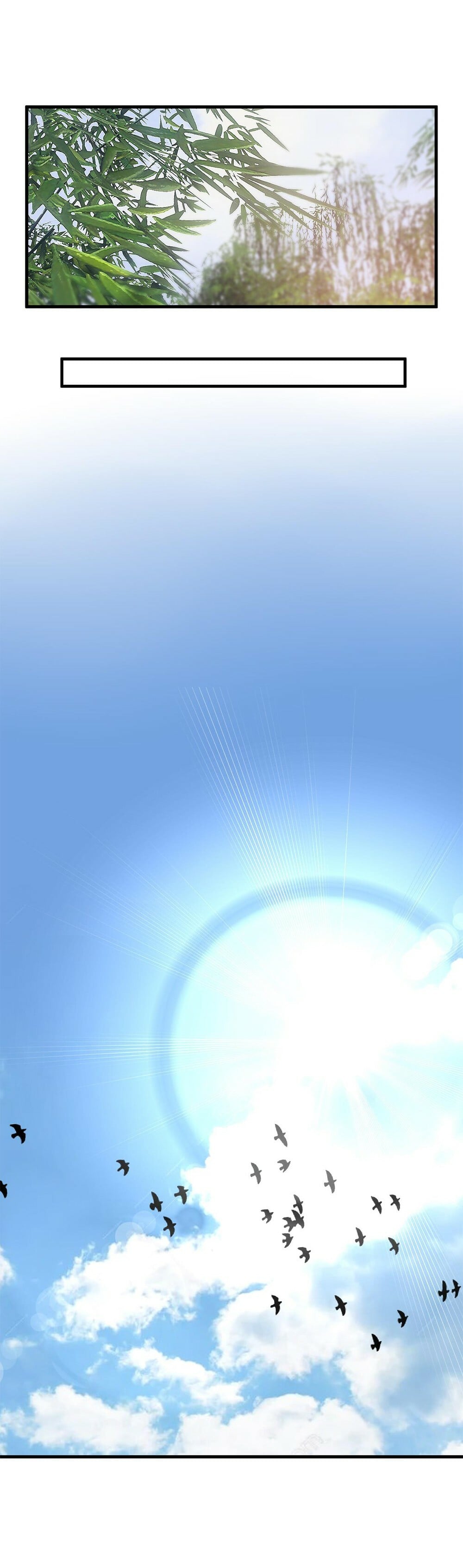 img8